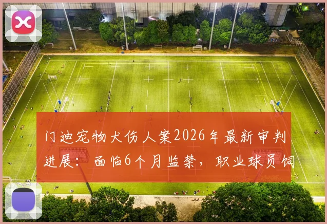 门迪宠物犬伤人案2026年最新审判进展：面临6个月监禁，职业球员饲养烈性犬的法律风险与公众责任探讨